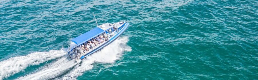 Coastal Boat Tour from Lake Macquarie - The Guides and Their Expertise