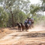Cobb & Co Stagecoach Experience in Longreach - Who Will Love This Tour?