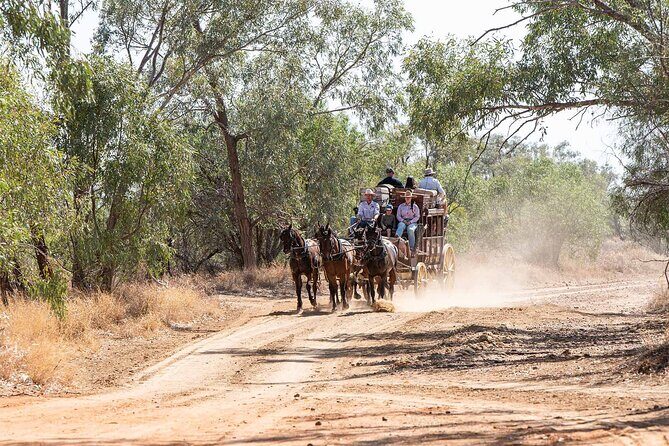 Cobb & Co Stagecoach Experience in Longreach - Who Will Love This Tour?
