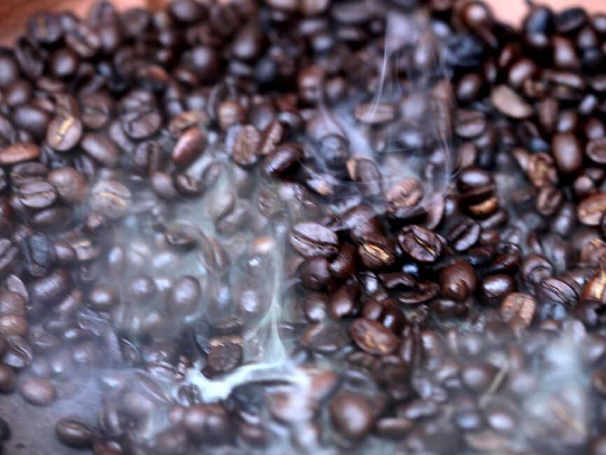 Coffee Ceremony Tour, Lunch Break, Mnemba Snorkeling - What Makes This Tour Stand Out?