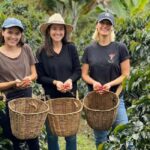 Coffee Farm Tour (Fairview) From Nairobi - Key Points