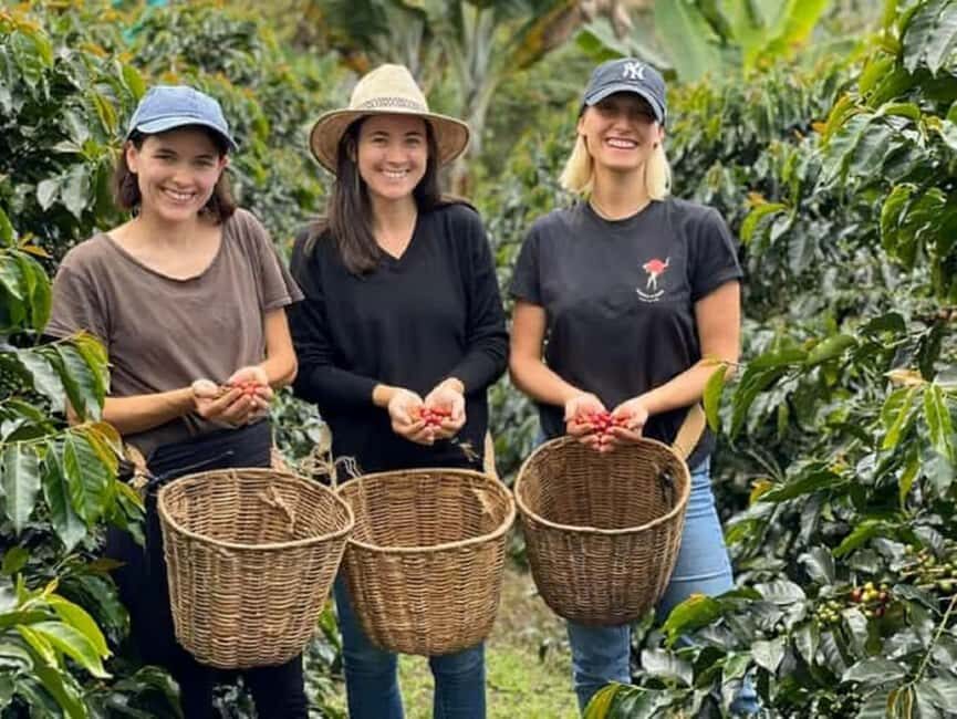 Coffee Farm Tour (Fairview) From Nairobi - Key Points
