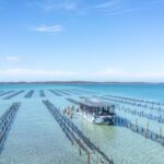 Coffin Bay: Oyster Farm Boat Tour with Wading & 12 Oysters - The Itinerary: What You Can Expect