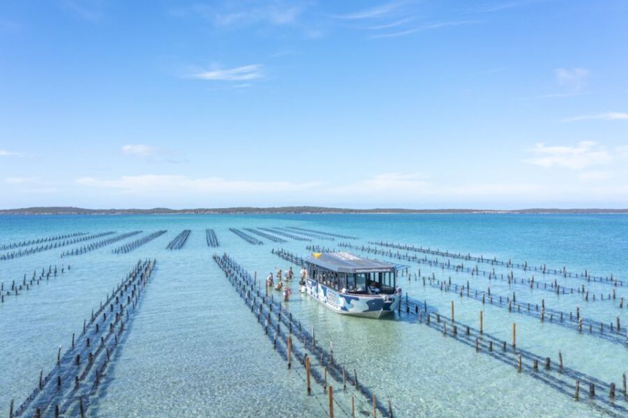 Coffin Bay: Oyster Farm Boat Tour with Wading & 12 Oysters - The Itinerary: What You Can Expect