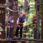 Coffs Harbour: Junior Tree Ropes Course - What You Can Expect During Your Visit