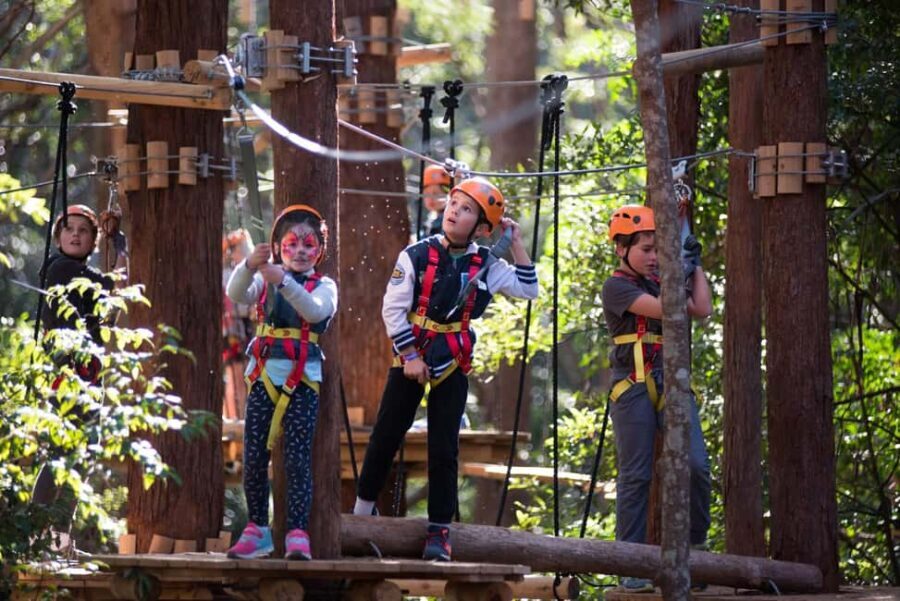 Coffs Harbour: Junior Tree Ropes Course - What You Can Expect During Your Visit