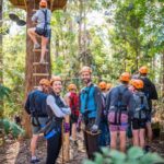 Coffs Harbour: Treetops Adventure Tree Ropes Course - Why You Should Consider This Adventure
