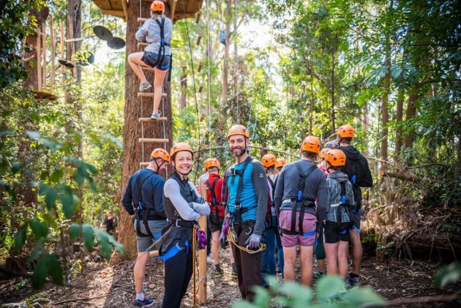 Coffs Harbour: Treetops Adventure Tree Ropes Course - Why You Should Consider This Adventure