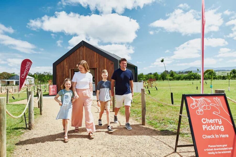 Coldstream: Cherry-Picking Experience - Who Will Love This Tour?