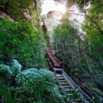 Combo: Blue Mountain Tour + Sydney Hop-on-Hop-off Bus Ticket - Sydney Exploration with Hop-on-Hop-off Bus
