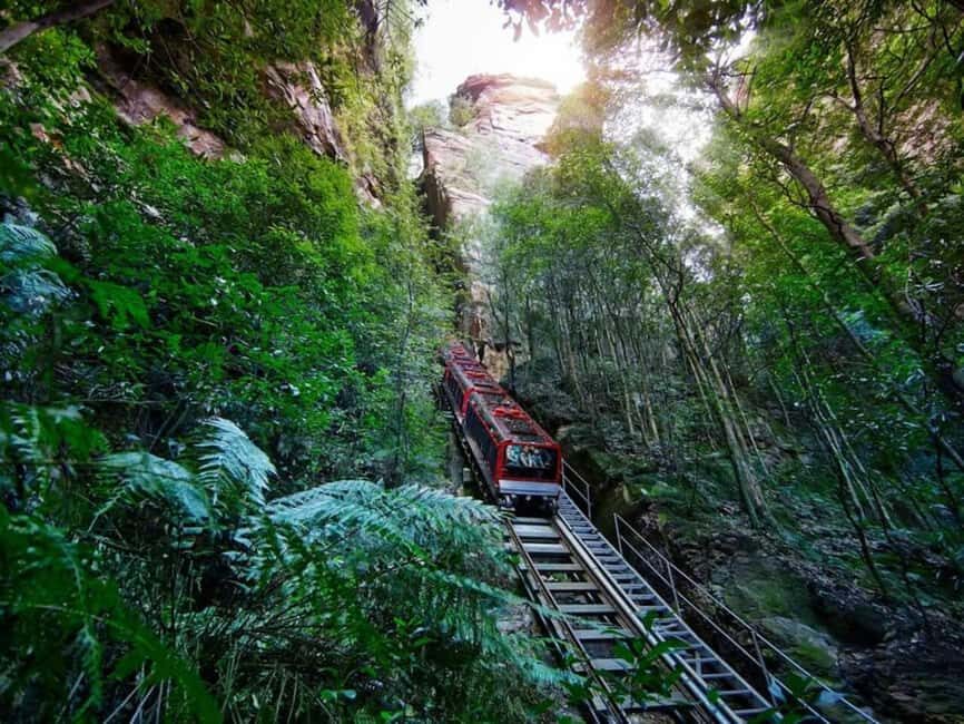 Combo: Blue Mountain Tour + Sydney Hop-on-Hop-off Bus Ticket - Sydney Exploration with Hop-on-Hop-off Bus