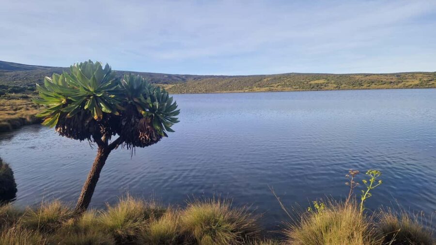 Conquer Mount Kenya: Mt Kenya Trekking via Chogoria 4-5 days - FAQ