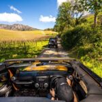 Constantia: Wine Tour - Award Winning Jeep Tours Cape Town - Who Will Love This Tour?