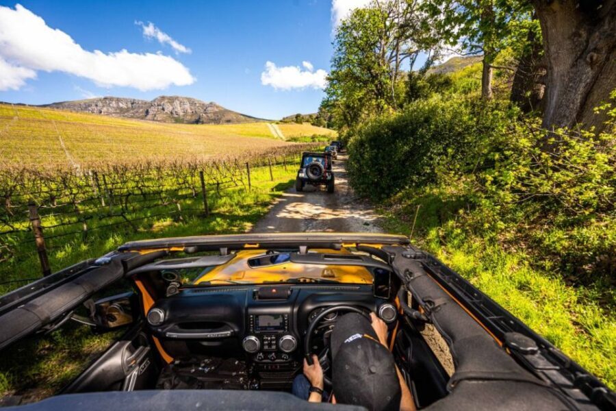 Constantia: Wine Tour - Award Winning Jeep Tours Cape Town - Who Will Love This Tour?