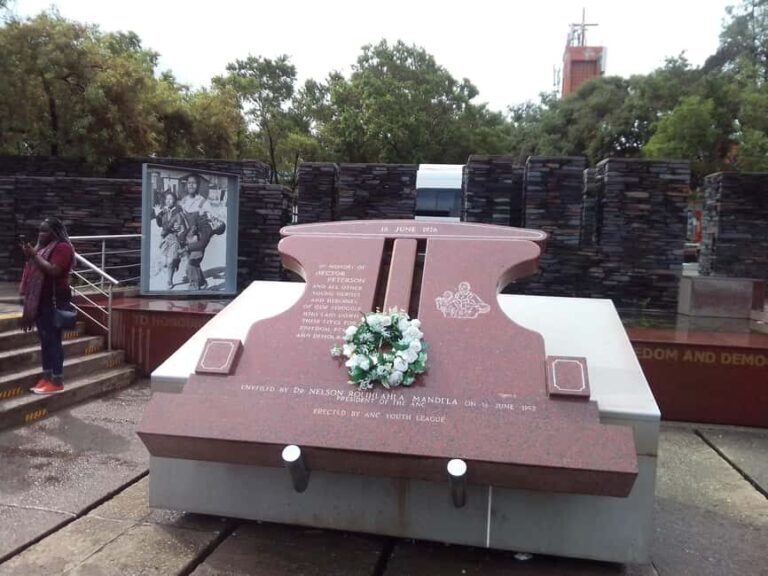 Constitutional Hill and Soweto 5 hours tour. - Who This Tour Is Best For