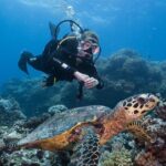 Coral Sea Dreaming Overnight Dive, Snorkel and Sail - Authentic Experiences & Tips from Reviewers