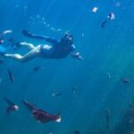 Coromandel Adventure and Wildlife Boat Tour to Aldermen Islands - Wildlife Encounters