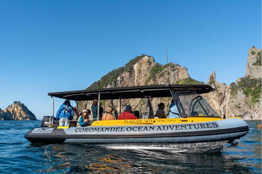 Coromandel: Aldermen Islands Marine Reserve Wildlife Cruise - The Sum Up