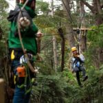 Coromandel: Guided Zipline Tour Experience - The Experience from a Traveler’s Perspective