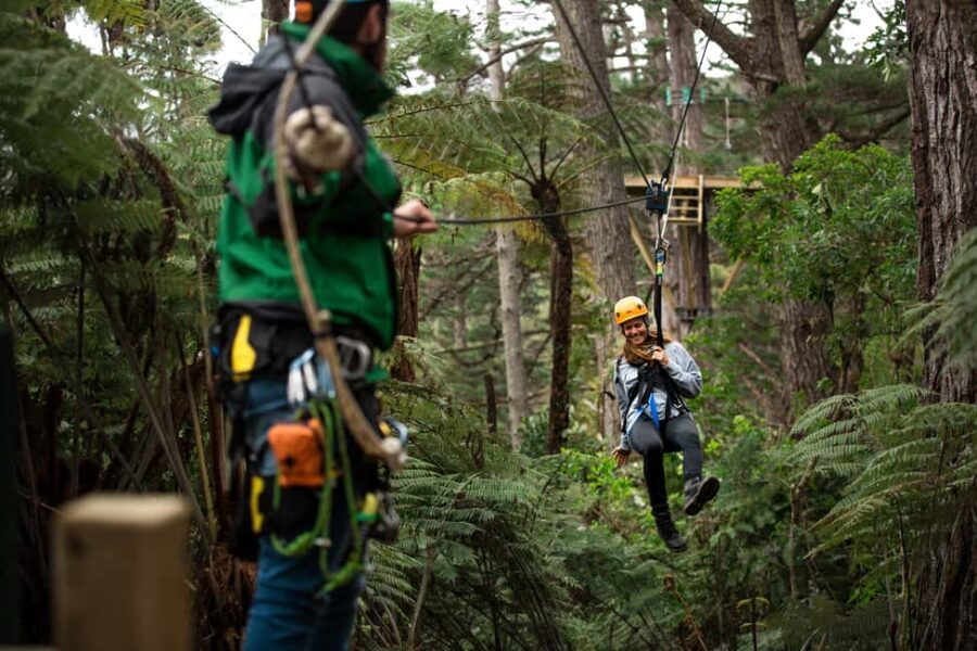 Coromandel: Guided Zipline Tour Experience - The Experience from a Traveler’s Perspective