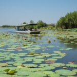 Corroboree Billabong Wetland Cruises - 2 hour Sunset Cruise - FAQ