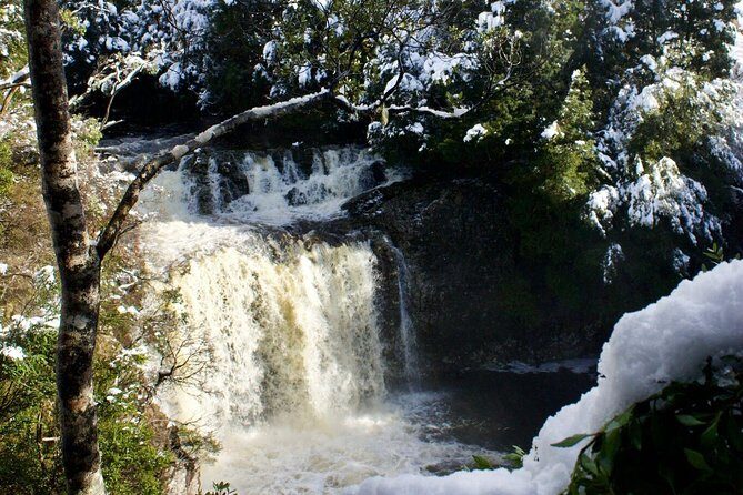 Cradle Mountain Day Tour from Launceston Including Lunch - Value for Money
