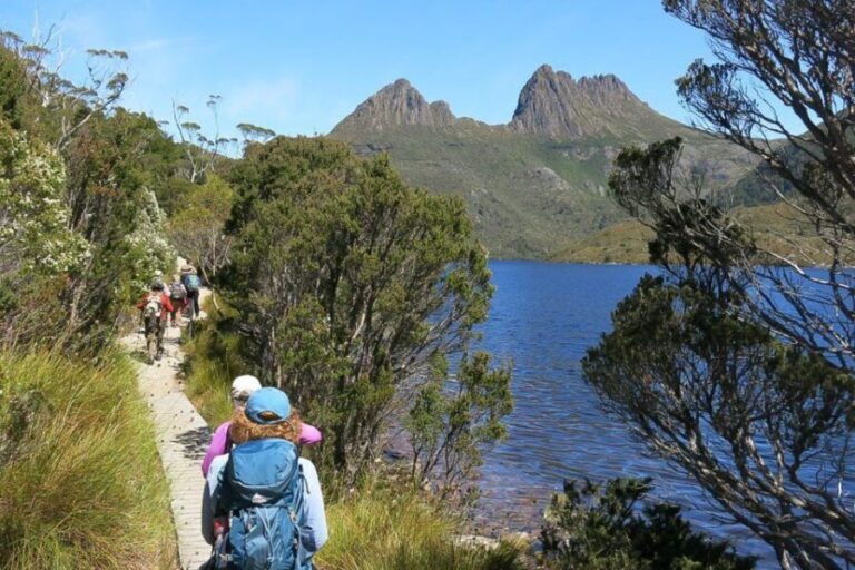 Cradle Mountain: Day Trip from Launceston with Lunch - A Detailed Look at the Cradle Mountain Day Trip