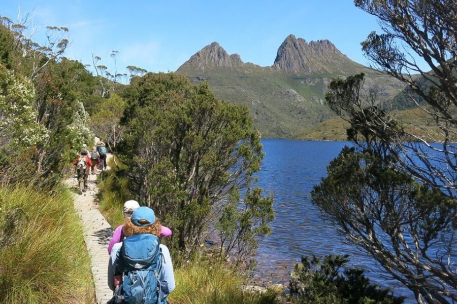 Cradle Mountain: Day Trip from Launceston with Lunch - A Detailed Look at the Cradle Mountain Day Trip