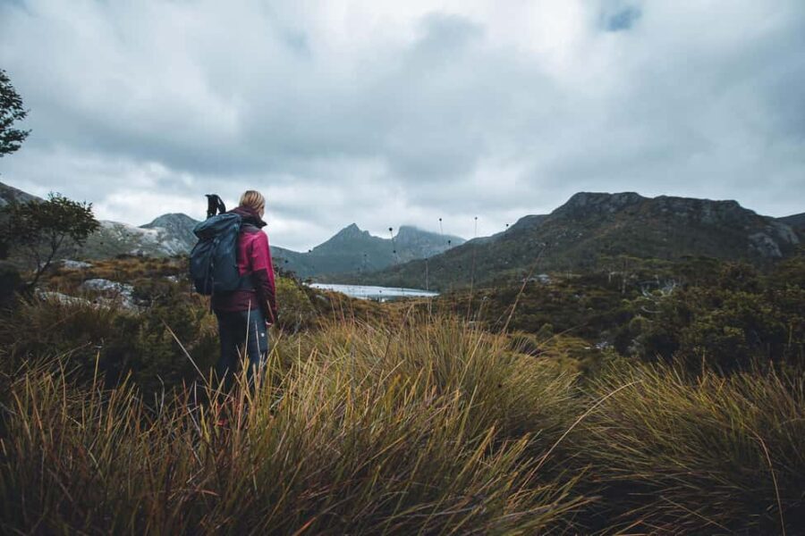 Cradle Mountain: Fully Guided Dove Lake Day Trip with Lunch - The Value of the Tour