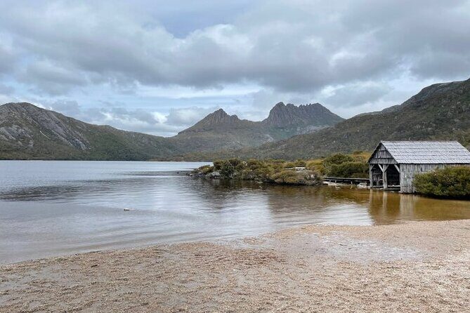 Cradle Mountain National Park Day Tour from Launceston - Logistics and Value