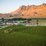 Craggy Range Deluxe Wine Tour - Private Option - Authentic Reviews and Insights