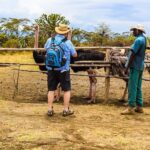 Crescent Island and Lake Naivasha: A Walking Safari - Who Is This Tour Best For?