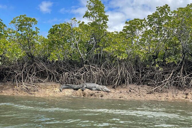 Croc Spotting Jetski Experience in Cairns City - Practical Details and Considerations