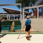 Crocosaurus Cove General Admission Ticket - FAQ