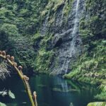 Crossing Over Tahiti Island Safari 4x4 - What the Reviews Say
