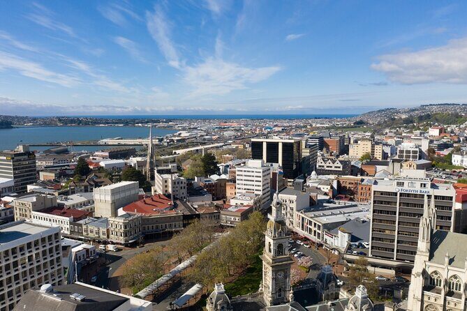 Cruise Dunedin City and Castle Tour - Who Would Love This Tour?