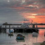 Cruise Ship Dudley Peninsula Tour - Who Should Consider This Tour?
