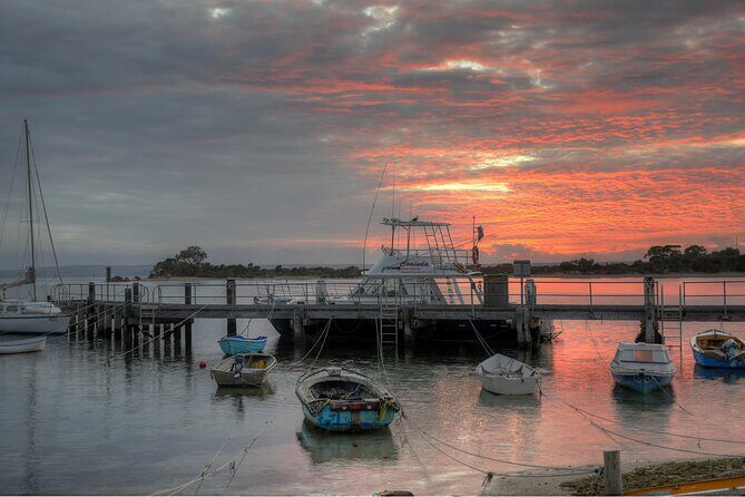 Cruise Ship Dudley Peninsula Tour - Who Should Consider This Tour?