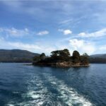 Cruise Ship - Port Arthur Shore Excursion - Hobart - The Sum Up