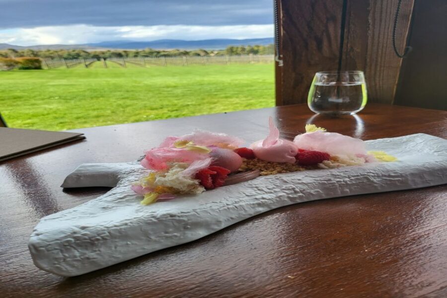 Cruise Ship - Wine Shore Excursion - Hobart - The Experience in Detail: What You’ll See and Feel