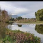CT:Cheetah Sanctuary- Lion- big cats and Wine Tasting Tour - FAQs