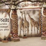 Cultural Experience Just Outside Johannesburg - Who Will Love This Tour?
