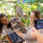 Currumbin Wildlife Sanctuary & Burleigh Heads Private Tours - Who Is This Tour Best Suited For?
