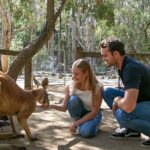 Currumbin Wildlife Sanctuary General Entry Ticket - A Closer Look at Currumbin Wildlife Sanctuary