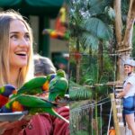 Currumbin Wildlife Sanctuary Pass + The Treetop Challenge - What You Can Expect at Currumbin Wildlife Sanctuary