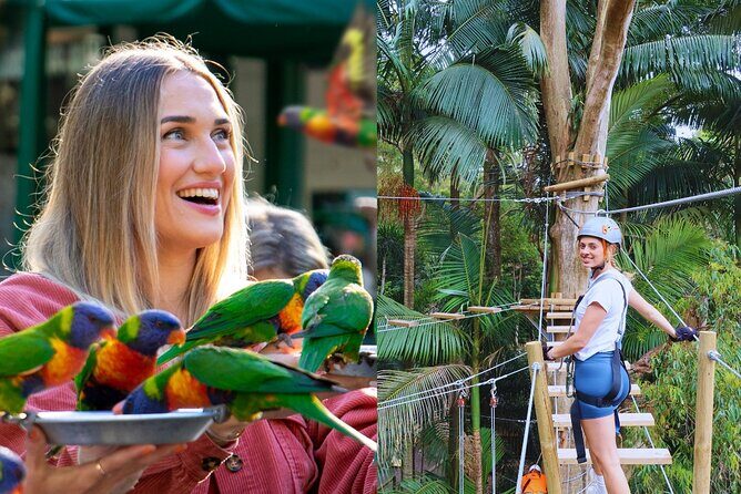 Currumbin Wildlife Sanctuary Pass + The Treetop Challenge - What You Can Expect at Currumbin Wildlife Sanctuary