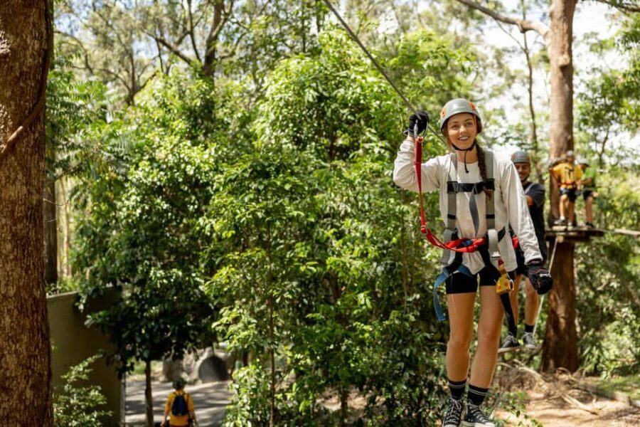 Currumbin Wildlife Sanctuary & TreeTop Challenge Combo - What to Expect at the TreeTop Challenge