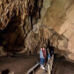 Cutta Cutta Caves Nature Park Guided Tours - Booking and Cost