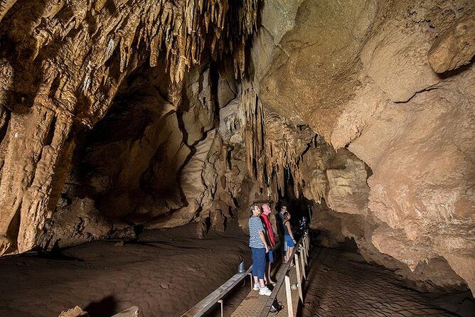 Cutta Cutta Caves Nature Park Guided Tours - Booking and Cost