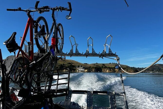 Cycle Ferry, Dunedin Harbour Cycle Trail - Exploring the Otago Harbour Cycle Loop with the Ferry